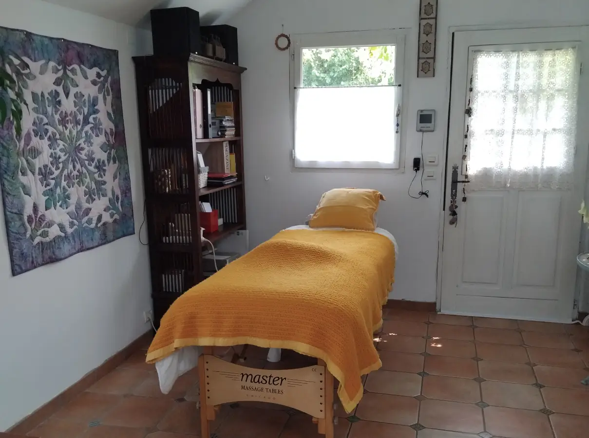 soin énergétique Seine et Marne Saint Martin des champs Patricia Magnani