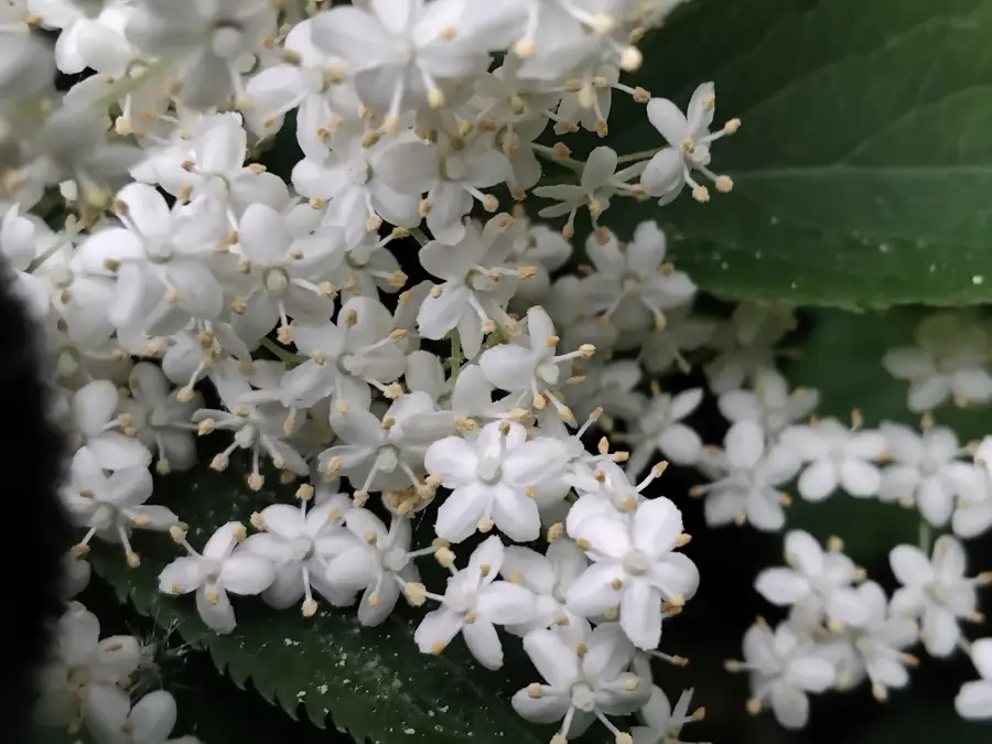 soins énergétiques, pratiqués par Patricia Magnani à Saint-Martin-des-Champs (77)